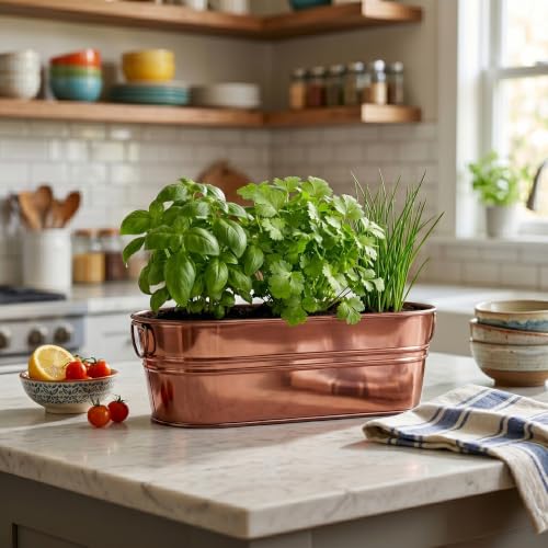 Buzzy Seeds Windowsill Herb Kit, Metal Planter, Basil Cilantro & Chives - color: Copper