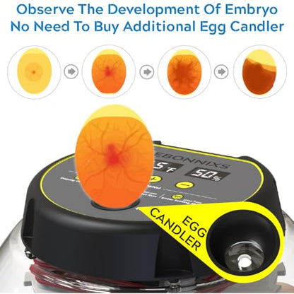 KEBONNIXS 12 Egg Incubator with Humidity Display, Egg Candler, Automatic Egg Turner, for Hatching Chickens