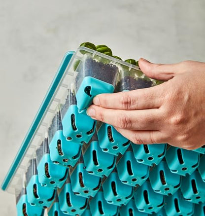 Burpee SuperSeed 36-Cell Reusable Seed Starting Tray for Indoor Seedlings - size: 36 Cells