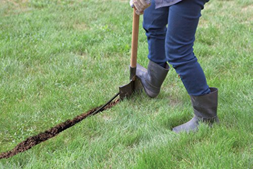 Rain Bird 32ETI DIY Install In-Ground Automatic Sprinkler Kit - style: Automatic Sprinkler System Kit w/ Timer