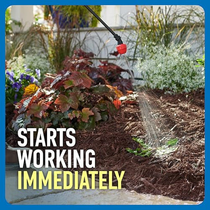 Roundup Weed & Grass Killer4 Concentrate, 1 gal. - size: 1 gal. Conentrate