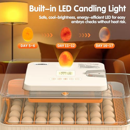 Egg Incubator for Hatching Eggs with Automatic Egg Turning, Temperature and Humidity Control, LED Egg Candling Light, Incubation Days Display, for Chicken, Duck, Goose, Quail, Parrot Bird Eggs - size: 56 eggs