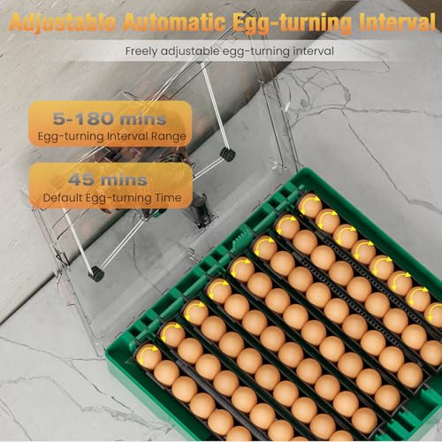 Egg Incubator for Chicken Eggs, Max 72 Egg Incubator with Auto Turner