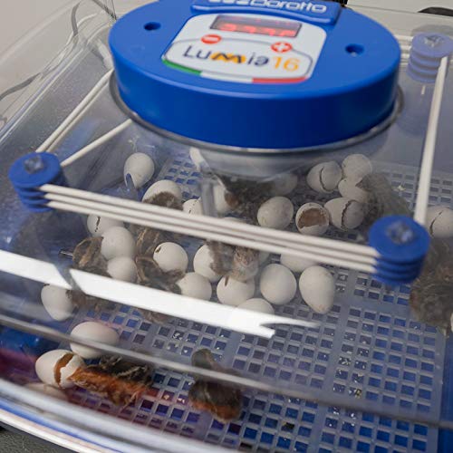 Premier 1 Borotto® Lumia 16 Automatic Egg Incubator