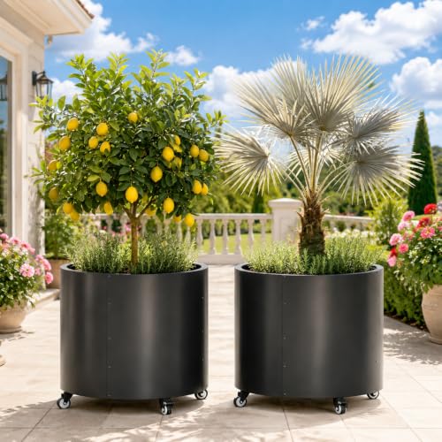 2 Pack Rolling Planter for Tree,30 Gallon Large Metal Tree Pots for Outdoor - color: Black