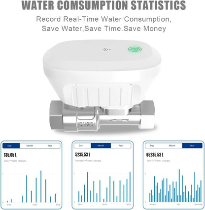 DN25 Smart Water Valve 1 Inch Smart Water Shutoff Valve Management System - color: 1″