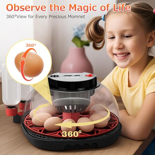 12 Egg Incubators for Hatching Eggs Automatic Egg Incubator with Temperature Control Humidity Control and Display for Chicken Duck Quail Eggs Auto Turner, Black red