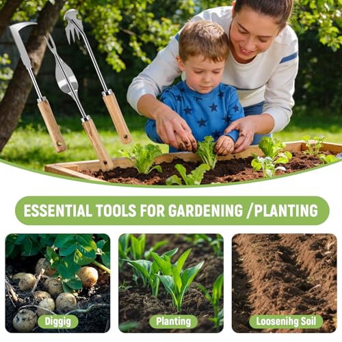 3 Pcs Set Weed Puller Tool,Hand Weeder Tool,4Teeth Uprooting Weeding Tool, Crack and Crevice Weeder, Gardening Weeding Artifact Tool - color: Style 3
