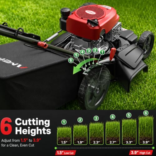 AMERISUN 21-Inch Gas Lawn Mower Self Propelled with 170cc OHV Engine - size: 21