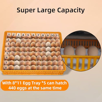 XKV 440 Egg Large Incubator with Automatic Egg Turning,with Viewing Window - size: 440 Egg-265L