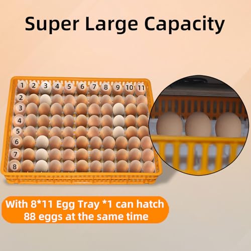 XKV 88 Egg Large Incubator with Automatic Egg Turning,with Viewing Window - size: 88 Egg-152L