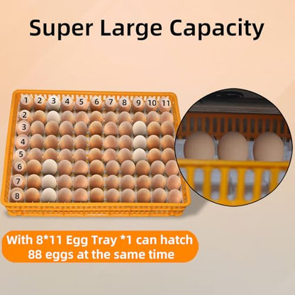 XKV 88 Egg Large Incubator with Automatic Egg Turning,with Viewing Window - size: 88 Egg-152L