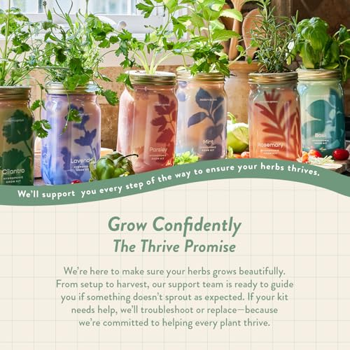 Modern Sprout Mason Jar Herb Garden Kit Indoor - color: Ultimate Herb Garden Set