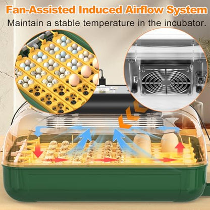125 Egg Incubator for Hatching Eggs with Automatic Egg Turning - size: M- 196 Quail Eggs