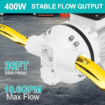 BLACKHORSE-RACING 110V-120V AC Self-Priming DEF Transfer Pump - size: 110V AC