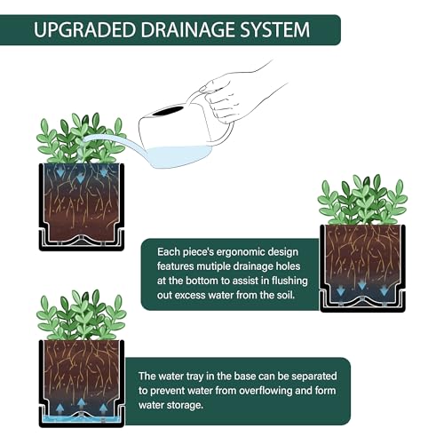 D'vine Dev 2-Pack Plastic Herb Planter Pots, 4 in, Black, 76-Y-B2-1 - color: Black, size: 8 Inch x 4.5 Inch