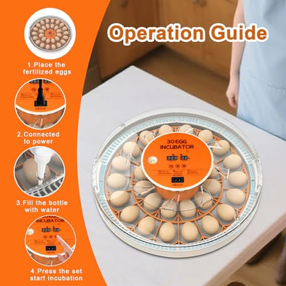 30 Egg Incubator with Automatic Egg Turning and Humidity Control,360 Degree View with Clear Window, Incubators for Hatching Eggs, Chicken, Ducks, Goose, Pigeon, Quail, Parrot - size: 30 Eggs