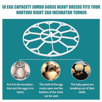 JGT360 Goose Egg Tray Fits Nurture Right 360 Incubator For Jumbo Goose Eggs