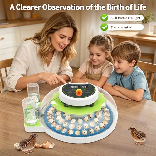 60 Quail Egg Incubator for Hatching with Auto Turning & Humidity Control - size: 66 Units