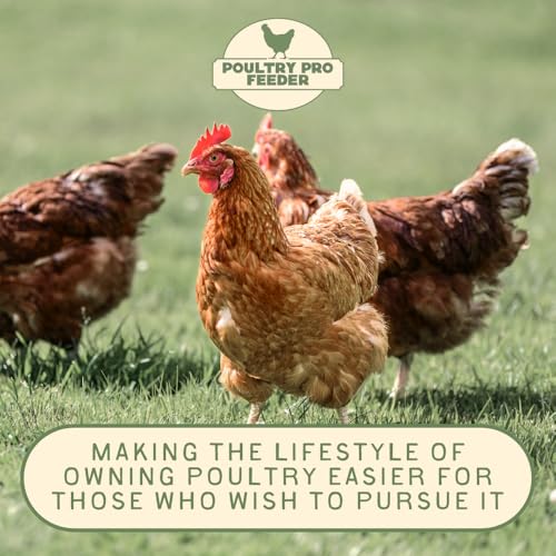 Poultry Pro DIY Chicken Feeder Kit, Poultry Feed, Weatherproof, 1 Port - style: Original Feeder 1 Pack