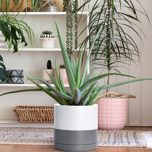 D'vine Dev 10 Inch Ceramic Planter Pot, White/Grey, 94-O-E-6 - color: White/Speckled Grey, size: Large