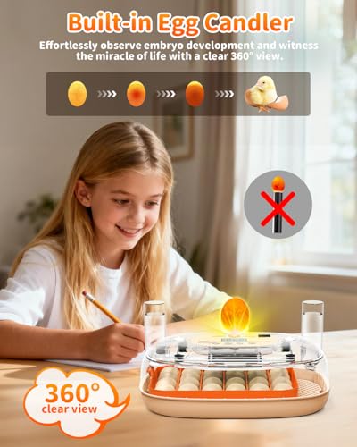 24 Egg Incubator with Automatic Turner Poultry Hatcher - color: Orange