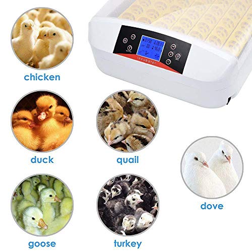 TECHTONGDA Digital Egg Incubator 56Eggs Automatic Poultry Hatcher with Egg Turning and Humidity Control 110V