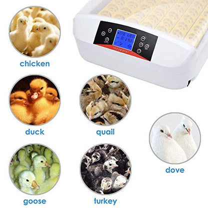 TECHTONGDA Digital Egg Incubator 56Eggs Automatic Poultry Hatcher with Egg Turning and Humidity Control 110V
