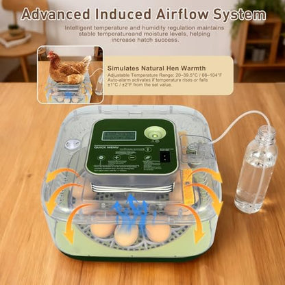 Gen IV – 12 Egg Fully Automatic Incubator, 2026 Upgraded Design, Intelligent Sensor-Based Humidity & Temp Control, Custom Hatch Days, Adjustable Auto Turnn with Auto-Stop, 360° View, Alarm, Candler - size: 12 egg-green