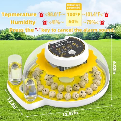 40 Quail Egg Incubator with Automatic Egg Turning Humidity Control Eggs - color: Yellow