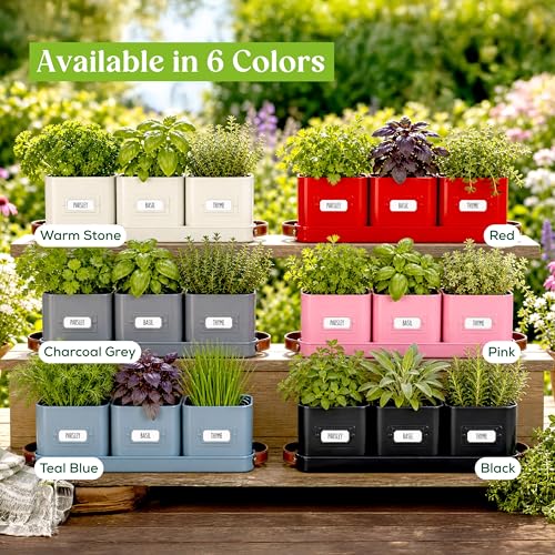 volila Herb Planter Indoor - Set of 3 Teal Blue Indoor Herb Garden Pots for Plants with Leather Handled Tray - Window Sill Plant Shelf - Herb Pots with Drainage Holes and Labels - color: Teal Blue