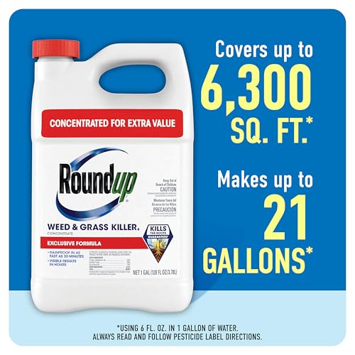 Roundup Weed & Grass Killer4 Concentrate, 1 gal. - size: 1 gal. Conentrate