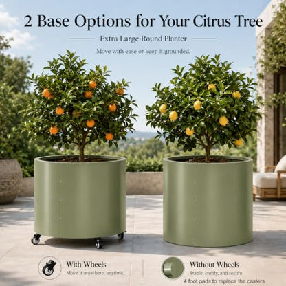 2 Pack Rolling Planter for Tree,30 Gallon Large Metal Tree Pots for Outdoor - color: Green
