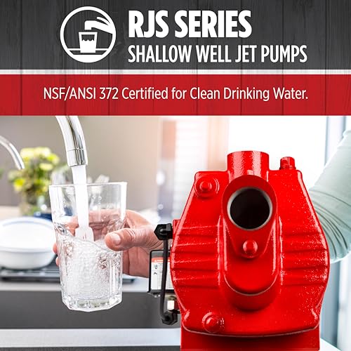 Red Lion RJS-75-PREM 115/230V, 3/4 HP, 16 GPM, Shallow Well Jet Pump - style: 3/4-HP, 16-GPM, Premium