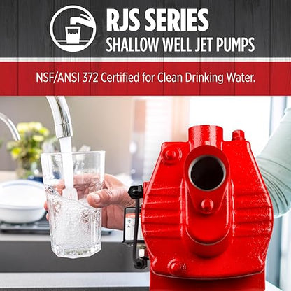 Red Lion RJS-75-PREM 115/230V, 3/4 HP, 16 GPM, Shallow Well Jet Pump - style: 3/4-HP, 16-GPM, Premium