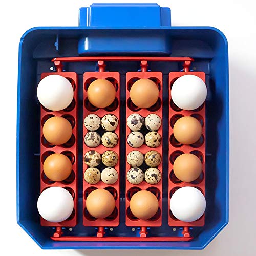 Premier 1 Borotto® Lumia 16 Automatic Egg Incubator