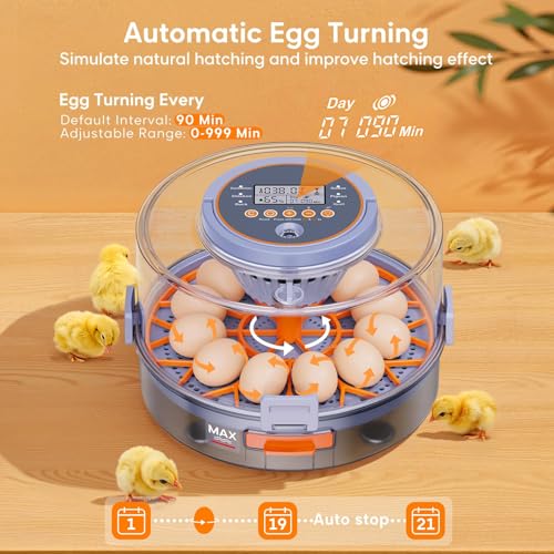 Automatic Egg Incubators for Hatching Eggs, 12 Egg Incubator with Automatic Egg Turning and Humidity Control, Egg Candler, 360° Viewing, Chicken Incubators for Hatching Chick, Duck, Quail, Goose Eggs