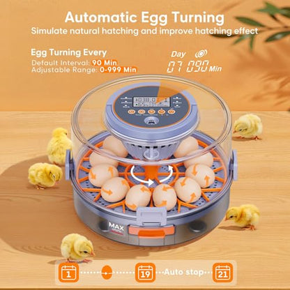 Automatic Egg Incubators for Hatching Eggs, 12 Egg Incubator with Automatic Egg Turning and Humidity Control, Egg Candler, 360° Viewing, Chicken Incubators for Hatching Chick, Duck, Quail, Goose Eggs