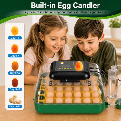 Egg Incubators for Hatching 30 Eggs with Temperature Humidity Control,Green - color: grass green