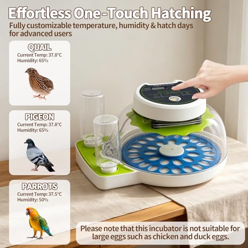 Quail Egg Incubator for Hatching 33 Quail Eggs with Automatic Turner & Humidity Control, Small Quails Brooder, Poultry Egg Incubator for Hatching Parrot Canarys Goose Pigeon in Home Farm - size: 33 Units