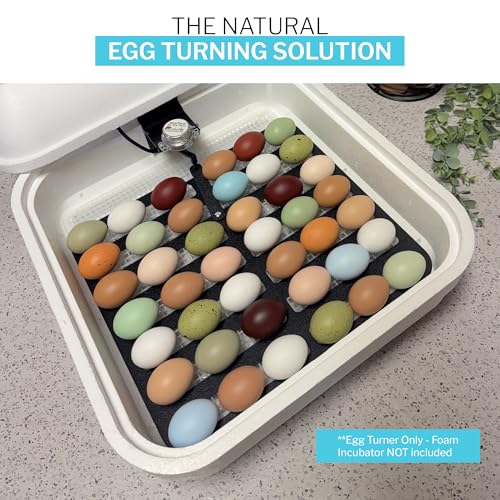 IncuTurn™ Automatic Egg Turner for HovaBator Incubators, Egg Turner Tray