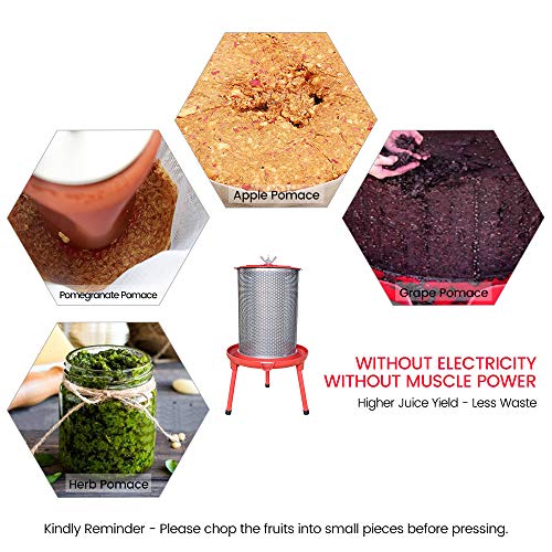 SQUEEZE master Hydraulic Fruit Wine Apple Press -10.7Gallon/40L with Electric Apple Crusher