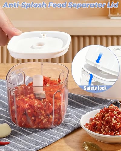 Joyzan Electric Garlic Chopper, Mini Food Processor Veggie Grinder 350ML