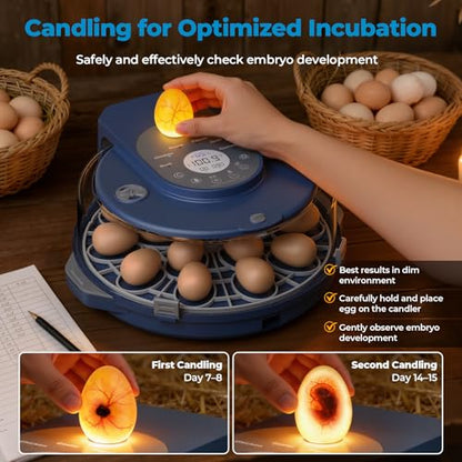 Egg Incubator for Hatching Eggs, 5 Preset Incubation Modes & 1 Custom Mode