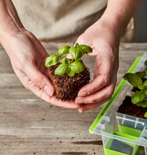 Burpee SuperSeed 16 XL Cell Reusable Seed Starting Tray for Seedlings - size: 16 Cells