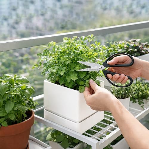 D'vine Dev Plastic Herb Planter Pot, 6 in, White, 76-Y-A1-2 - color: White, size: 6 Inch x 6.5 Inch