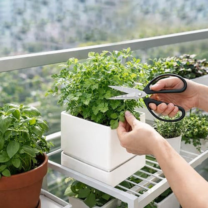 D'vine Dev Plastic Herb Planter Pot, 6 in, White, 76-Y-A1-2 - color: White, size: 6 Inch x 6.5 Inch