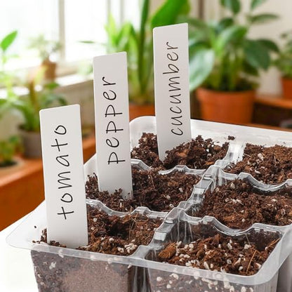 Bonviee 10-Pack Seed Starter Trays, 6-Cell Insert Trays, Clear - color: Clear, size: 60 XL Cells