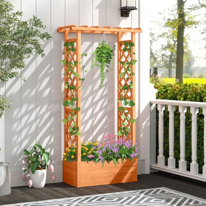 LDAILY Raised Garden Bed with Trellis, Above Ground Garden Bed with Hanging Roof, Side Trellis, & Drainage Holes, Planter Box for Outdoor Climbing Plants Vines Flowers (1, 31" L x 14" W x 60" H) - size: 31" L x 14" W x 60" H
