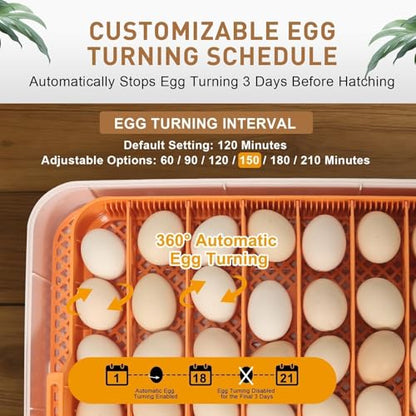 Series IV - 56 Egg Professional Incubator for Breeders, Automatic Sensor-Based Precise Humidity & Temp Control, Adjustable Egg Spacing, Auto Turn & Auto Stop, Preset Incubation Days, Chick Separator - size: 56-Egg Orange